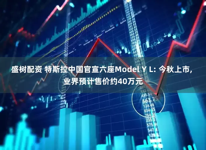 盛树配资 特斯拉中国官宣六座Model Y L: 今秋上市, 业界预计售价约40万元