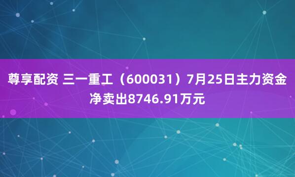 尊享配资 三一重工（600031）7月25日主力资金净卖出8746.91万元